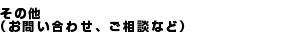 その他